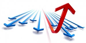 Come Sviluppare il Business
