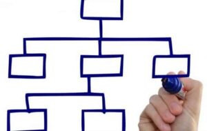 organigramma